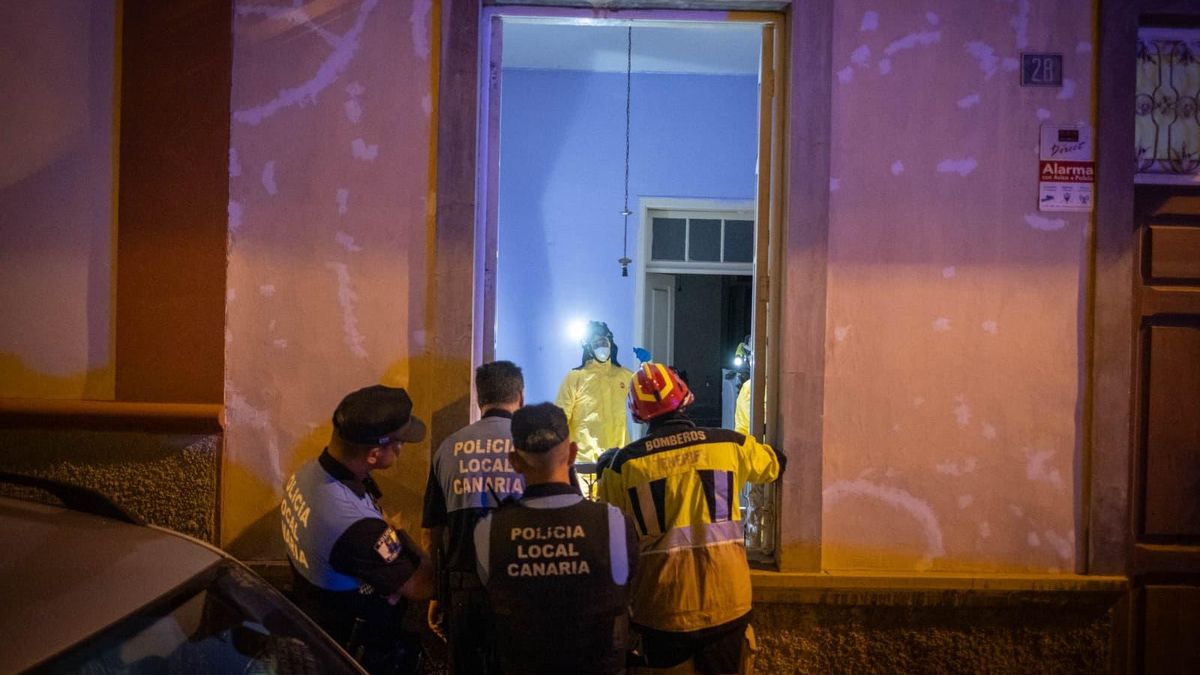 Rescate de siete animales abandonados en una casa de Santa Cruz de Tenerife.