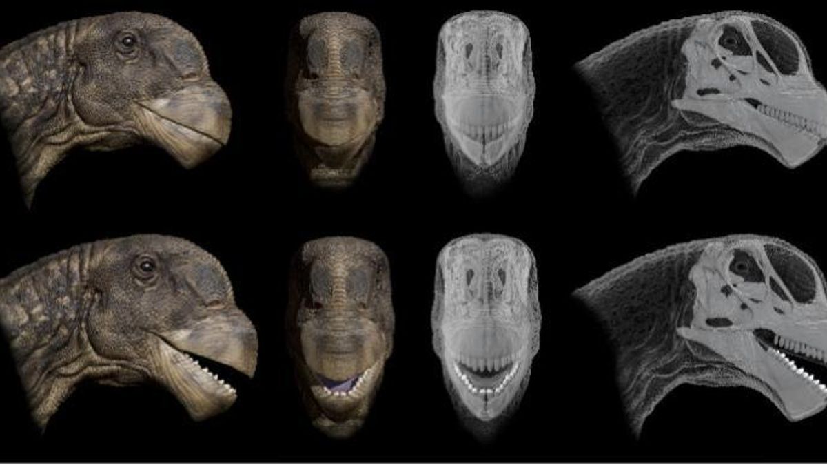 El cráneo de Camarasaurus presenta semejanzas con las aves