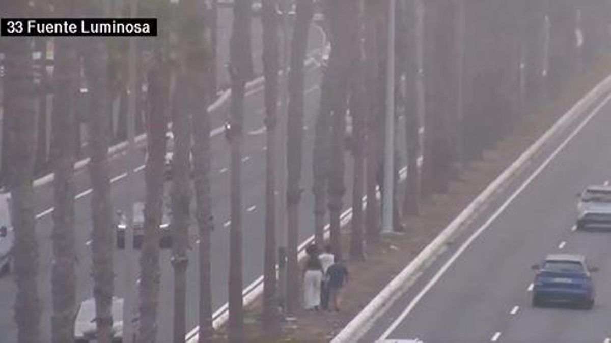 La Policía Local denuncia a tres personas por caminar por la mediana de la Avenida Marítima de Las Palmas de Gran Canaria