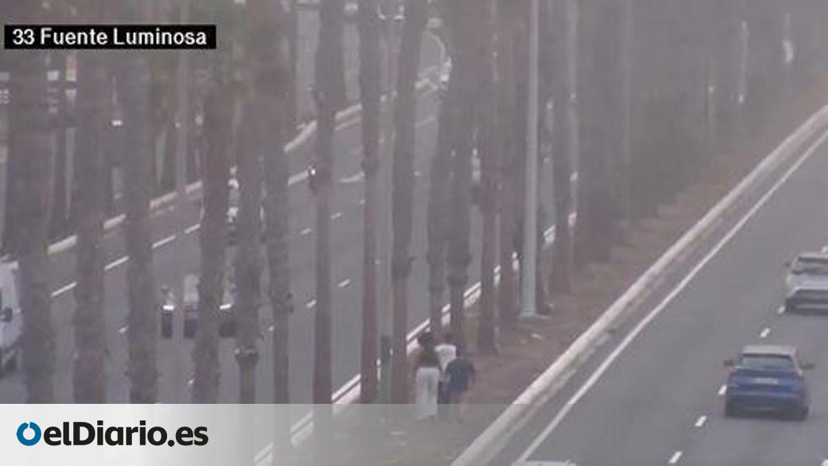 Local Police report three individuals for walking in the central reservation of Avenida Marítima, Las Palmas de Gran Canaria.