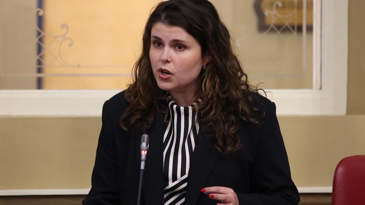 Diana Lorenzo, diputada por La Palma de CC en el Parlamento de Canarias.