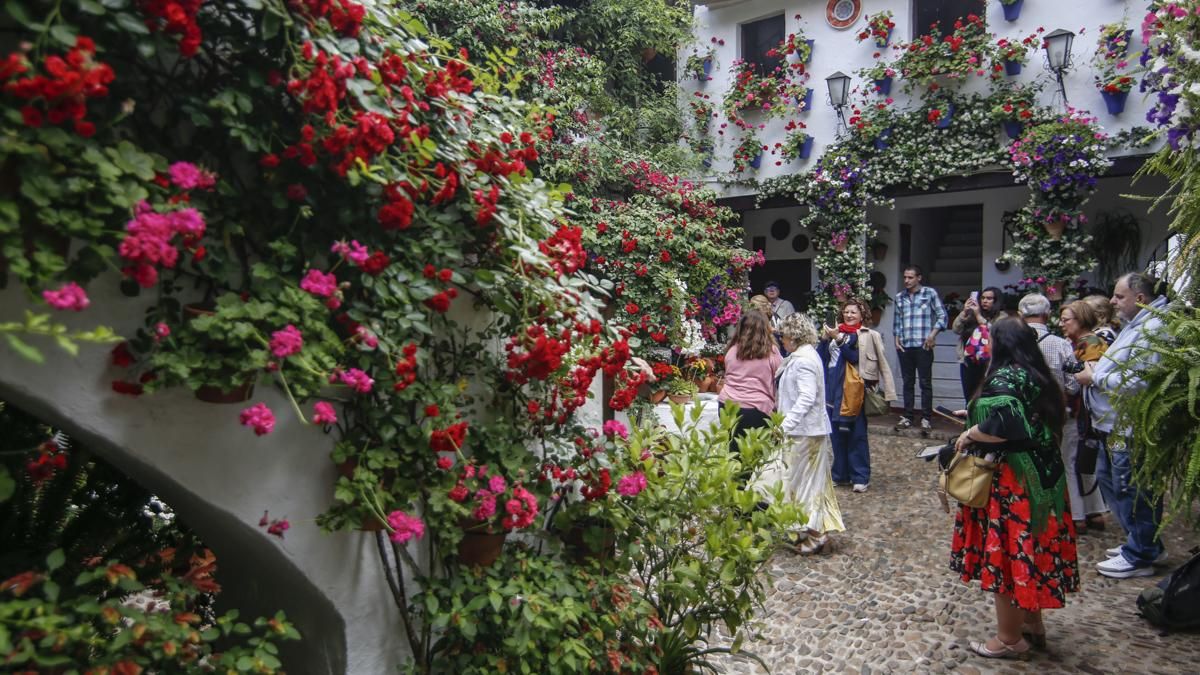 San Basilio, 44, primer premio en Patios Singulares en 2026