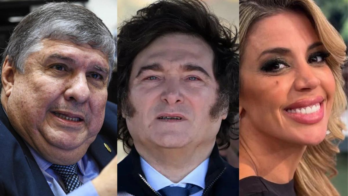 José Mayans, Javier Milei y Virginia Gallardo.