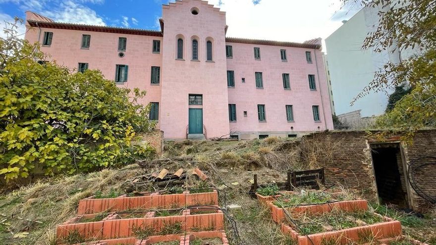 Huerto interior del Homeopático.