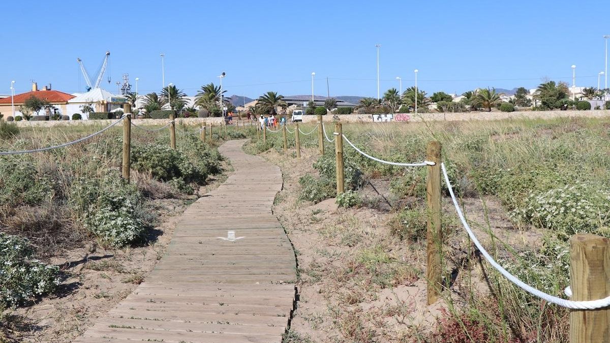 Dunes de les platges de Sagunt.