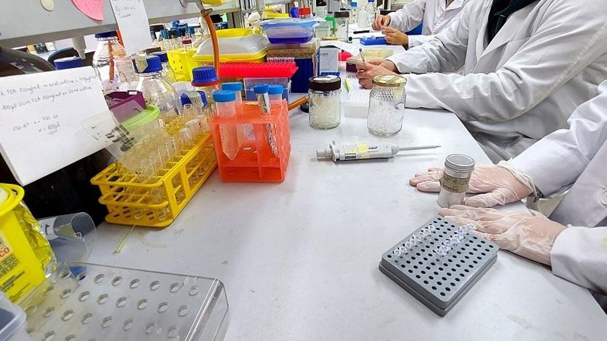 Gran Canaria pone en marcha un protocolo pionero para prevenir la muerte súbita juvenil