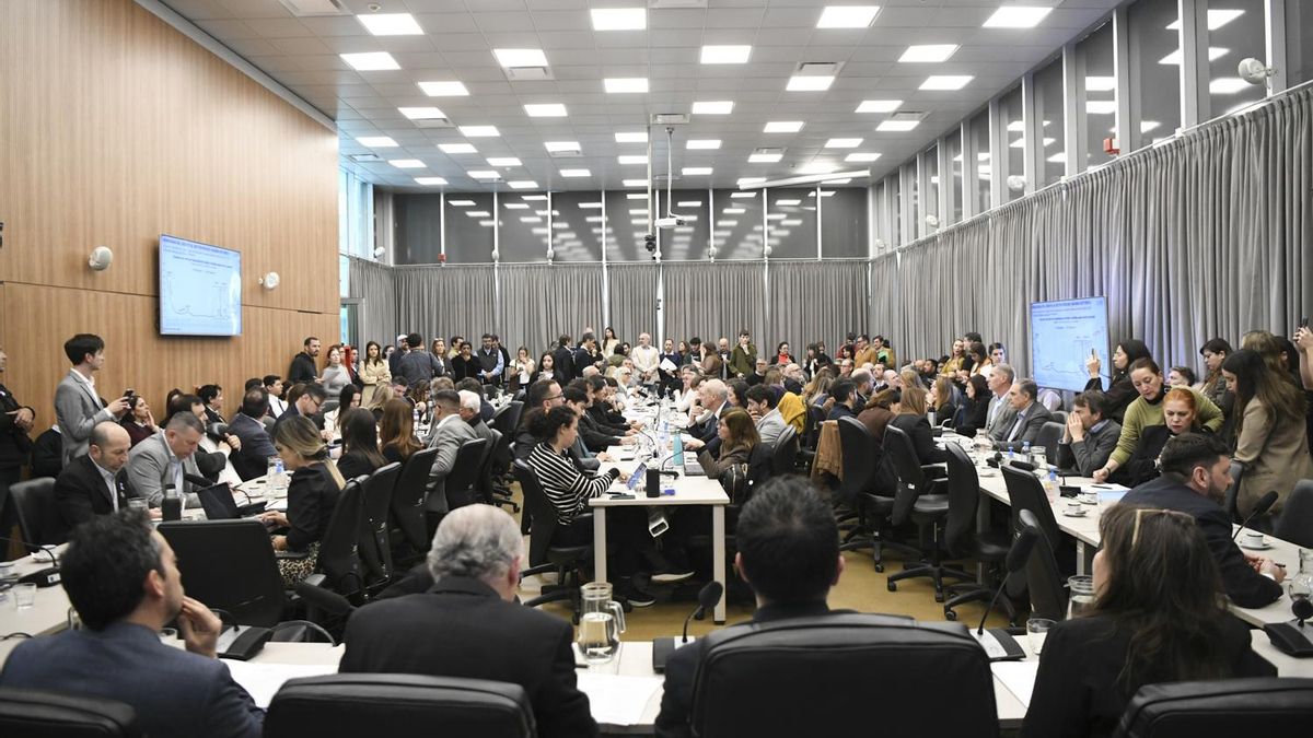 La reunión de las comisiones de Finanzas y Defensa al Consumidor en Diputados