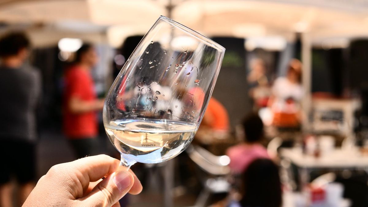 ‘Blancomántico’, tres días para impulsar el vino blanco DO León en el Barrio Romántico