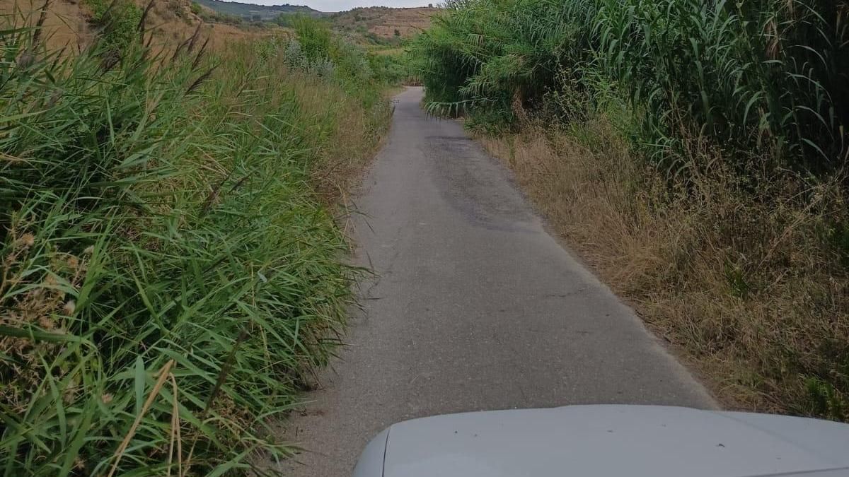 El estado del Barrio del Cortijo levanta quejas vecinales