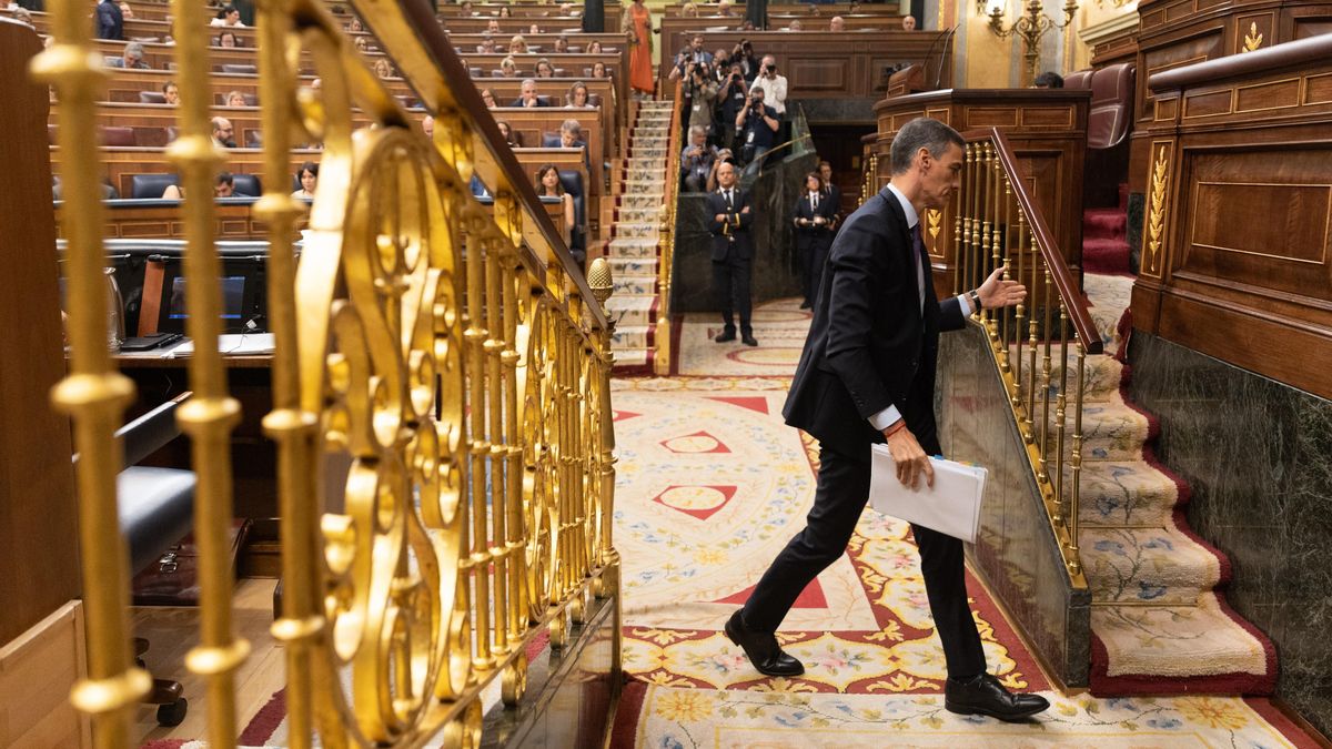 El presidente del Gobierno, Pedro Sánchez, en el pleno extraordinario del Congreso.