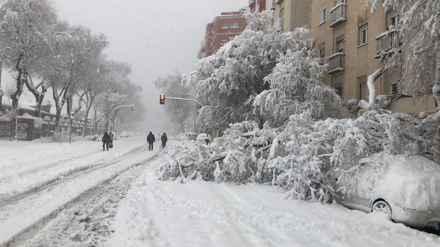 Además de vehículos atrapados, la nevada ha causado daños en algunos puntos de Madrid, como en el Paseo de la Chopera, junto a Matadero