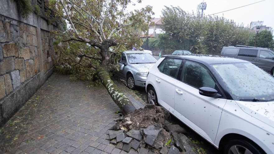 Toda España salvo Canarias, en alerta por la borrasca Kirk en su "día más adverso", con vientos de hasta 200 km/h