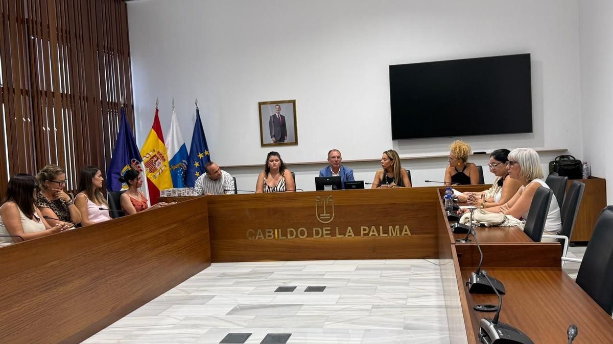 El Cabildo lidera un acuerdo institucional para garantizar una isla accesible e inclusiva junto a los 14 ayuntamientos