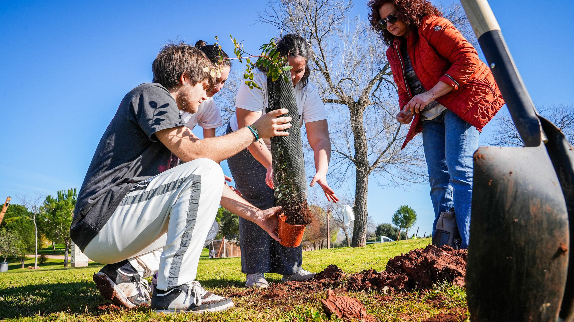 Primera plantación de EnArbolando Córdoba en La Asomadilla