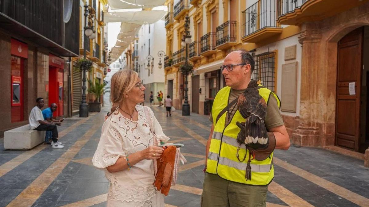 La concejala de plagas del Ayuntamiento de Lorca, Carmen Menduiña, junto a un operario de la empresa que utiliza rapaces para eliminar palomas del coso local.