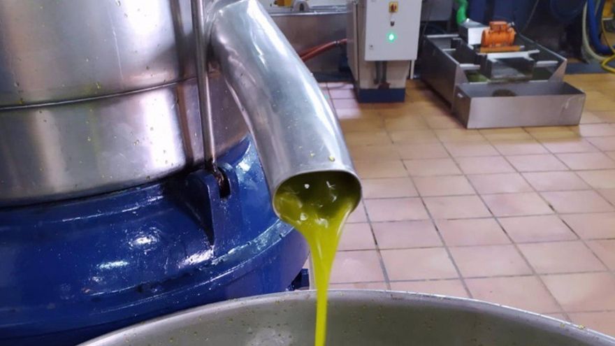 La campaña de aceite de oliva se cierra en Castilla-La Mancha con 70 millones de kilos