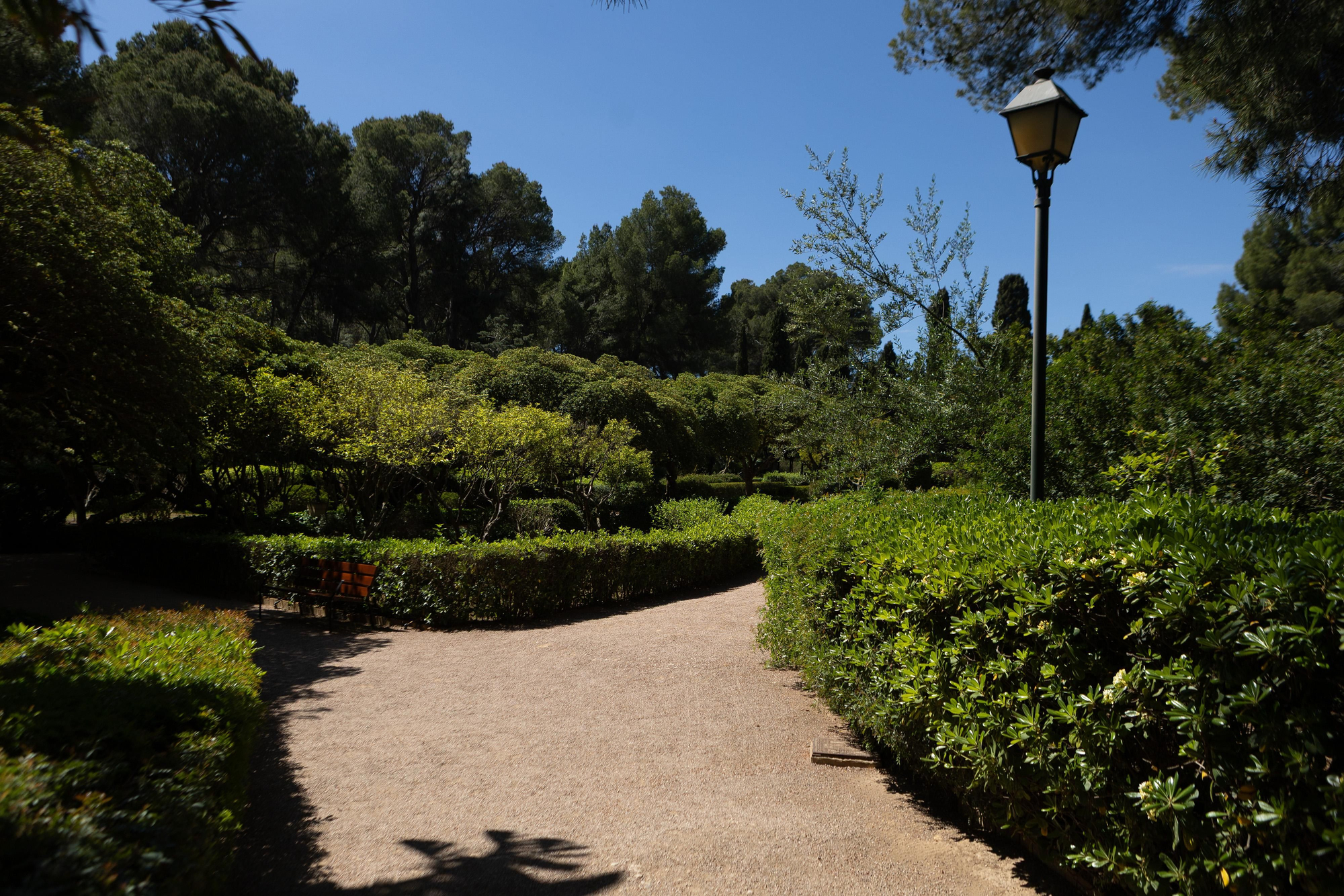 Uno de los caminos que divide los jardines