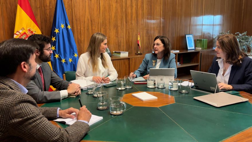La vicepresidenta y ministra para la Transición Ecológica, Sara Aagesen (c), se reúne con la presidenta de la Comisión Nacional de los Mercados y la Competencia (CNMC), Cani Fernández (2d), con motivo del apagón del pasado lunes, este jueves en la sede del Ministerio para la Transición Ecológica en Madrid. A la reunión también asistieron el secretario de Estado de Energía, Joan Groizard; el director general de Política Energética y Minas de MITECO, Manuel García Hernández; y la directora de energía de la CNMC, Rocío Prieto. EFE/ MITECO - SOLO USO EDITORIAL/SOLO DISPONIBLE PARA ILUSTRAR LA NOTICIA QUE ACOMPAÑA (CRÉDITO OBLIGATORIO) -