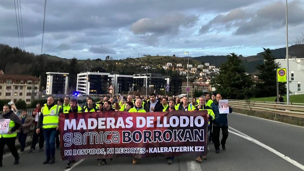 El Superior de Justicia vasco tumba el ERE de Maderas de Llodio y declara improcedentes los 35 despidos