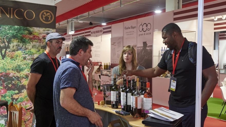 Todas las regiones vitivinícolas de España estarán presentes en la próxima edición de FENAVIN