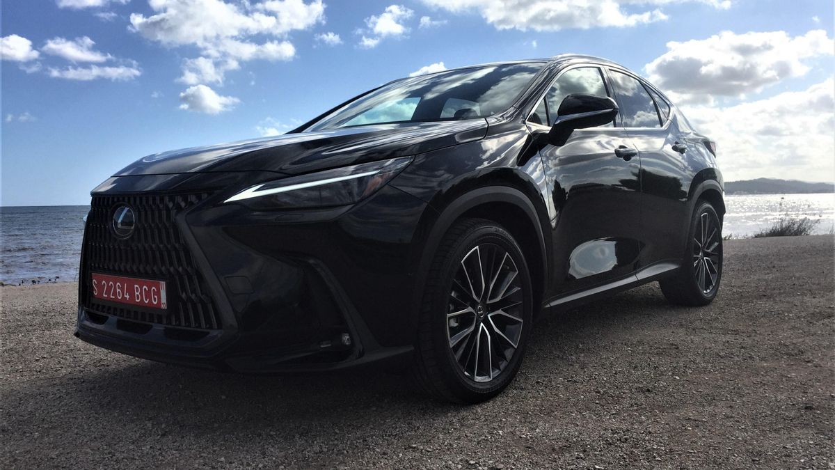 Lexus NX 450h +.
