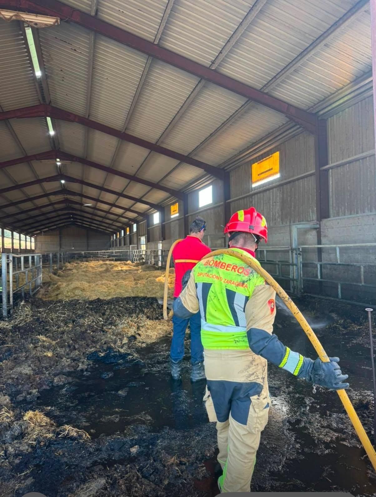 Trabajo en una granja.