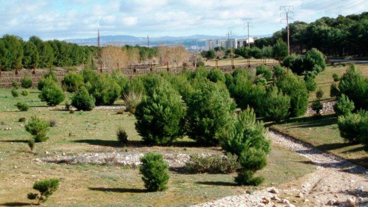 Zaragoza debería decir algo al mundo