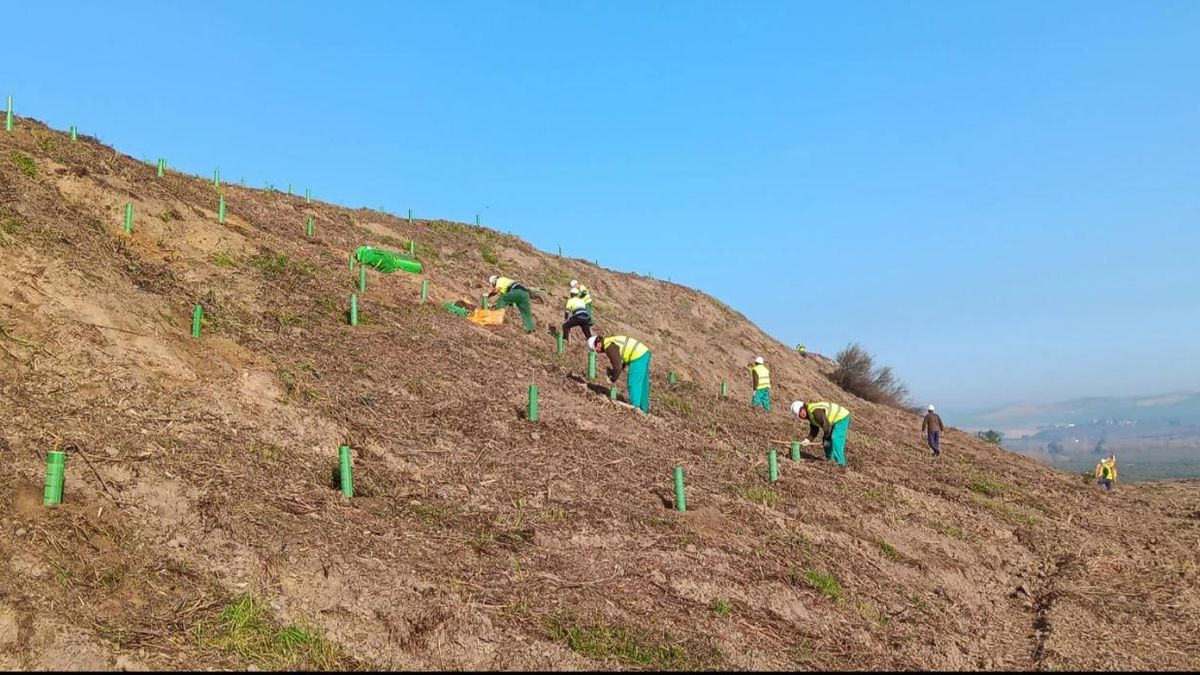 Proyecto para la mejora de la conectividad ecológica en el área piloto AP01 de la campiña de Córdoba.