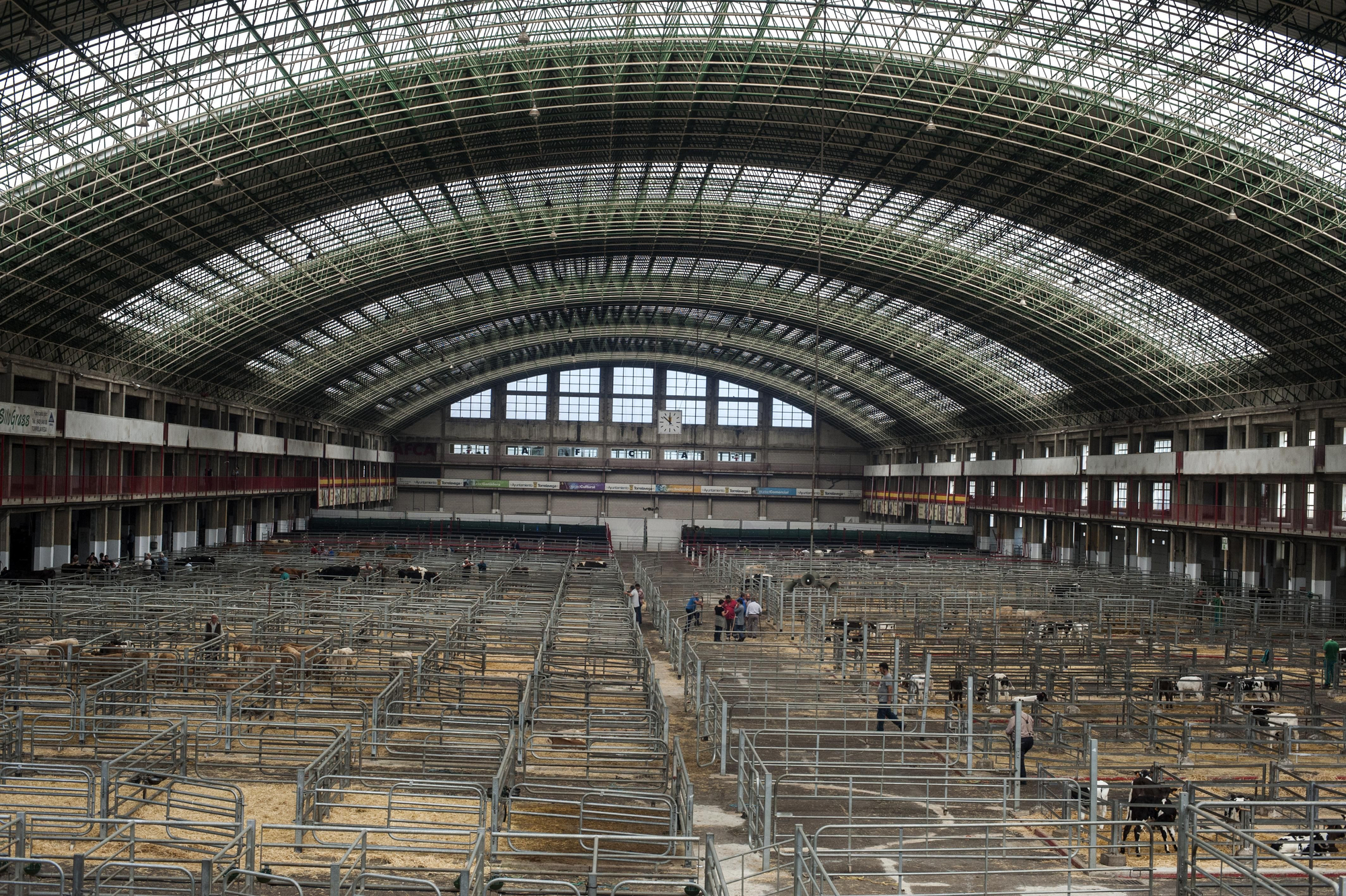Vista general del Mercado Nacional de Ganados de Torrelavega (Cantabria) donde un día a la semana se celebra la feria de compra-venta de reses. | JOAQUÍN GÓMEZ SASTRE