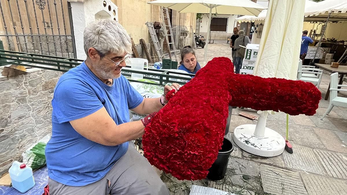 Montaje de la Cruz de Mayo de la plaza de San Hipólito