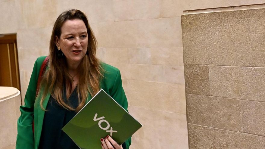 Investigada por grabar con un bolígrafo 'espía' la portavoz de Vox en el Parlamento cántabro