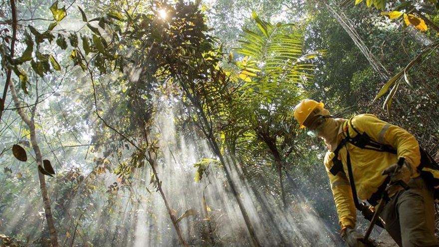 Un bombero tras las llamas durante los combates de los incendios en la selva amazónica en agosto de 2019 cerca de Porto Velho (Brasil). 