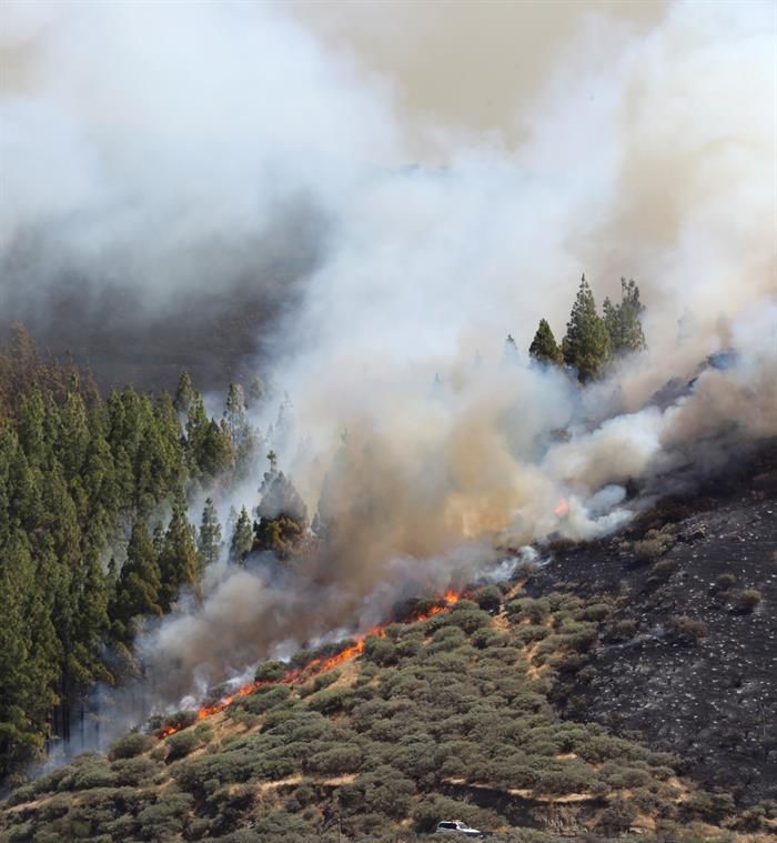 Incendio en la cumbre de Gran Canaria. Efe/Elvira Uruijo.