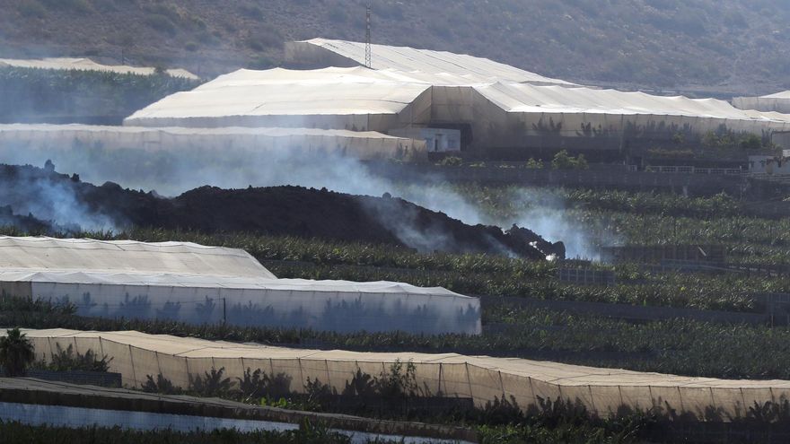 Vista de la cabeza de la colada norte del volcán de La Palma que avanza entre plataneras acercándose a la costa de Tazacorte en la isla de La Palma este lunes.