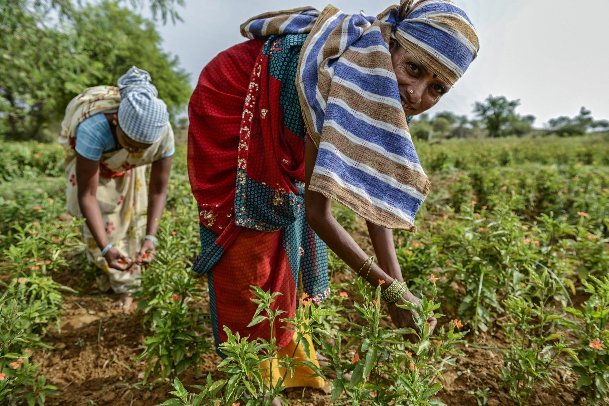 Las mujeres en India son consideradas una mercancía cuyo valor reside en procrear y trabajar./ Zigor Aldama