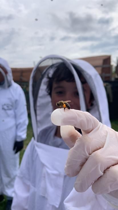Mielería Campomiel también muestra cómo viven las abejas