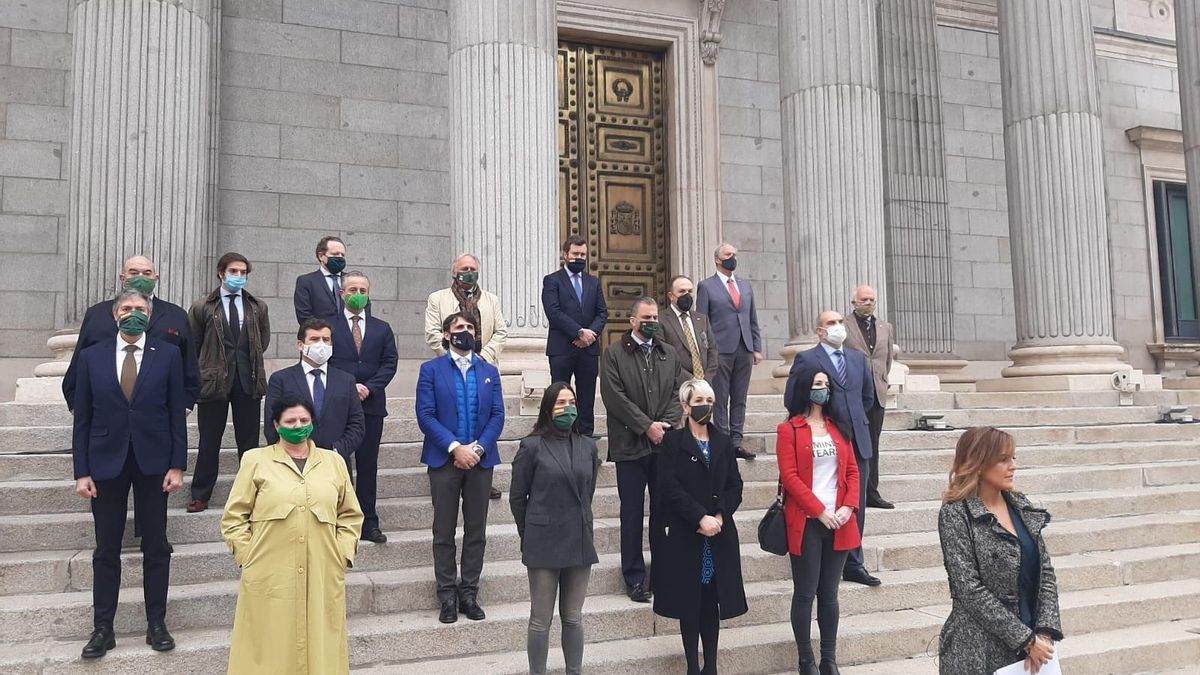 Diputados y diputadas de Vox se concentran en la Puerta de los Leones del Congreso con motivo del 25N, Día Internacional de la eliminación de la violencia contra las mujeres.