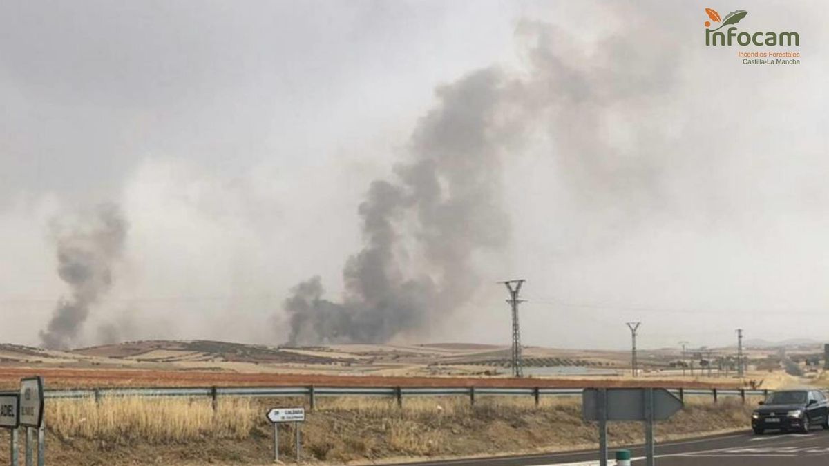 Incendio forestal en Viso del Marqués