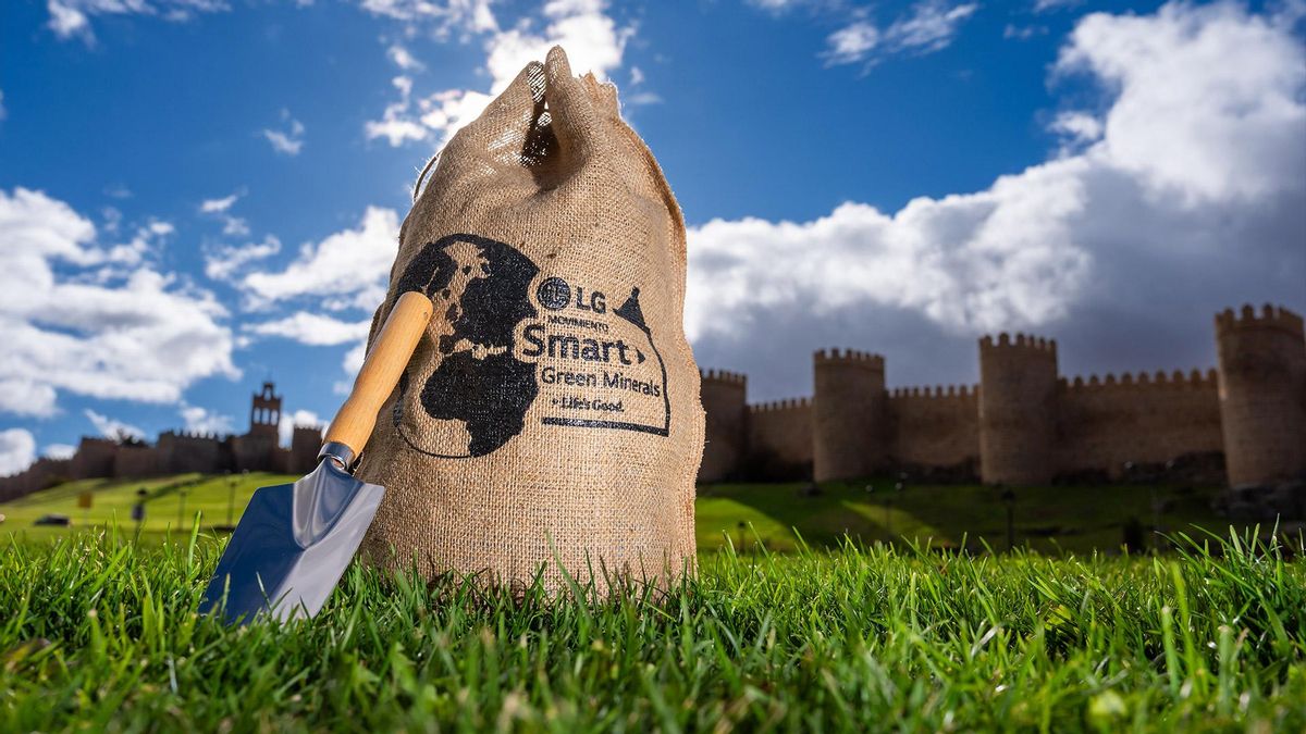 Polvo de basalto en las ciudades y semillas inteligentes en el bosque: la nueva 'tecnología' para atrapar CO2