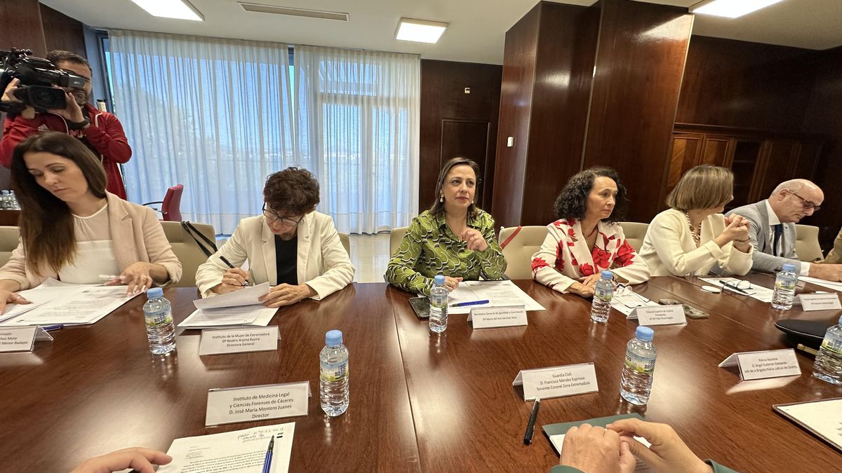 La secretaria general de Igualdad de la Junta, Ara Sánchez, en el centro, junto a la presidenta del TSJEx, María Félix Tena, en la reunión de la Comisión Permanente para la Prevención y Erradicación de la Violencia de Género de Extremadura