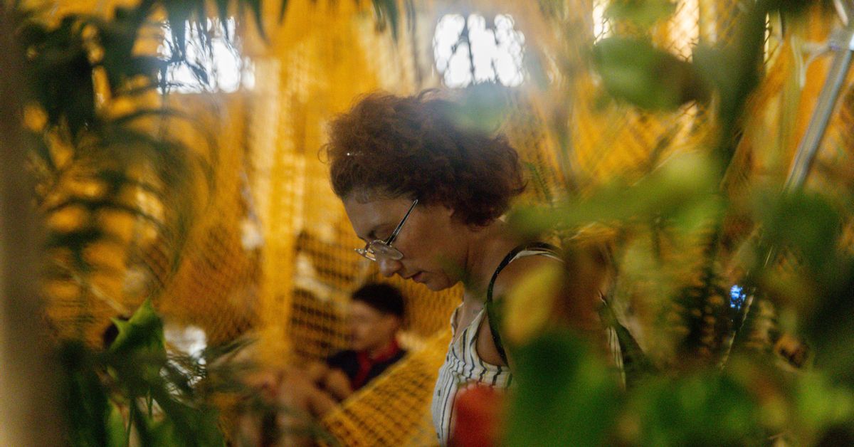 ¿Dónde nos metemos en la ola de calor?: solo un 30% de las capitales tiene una red de refugios climáticos