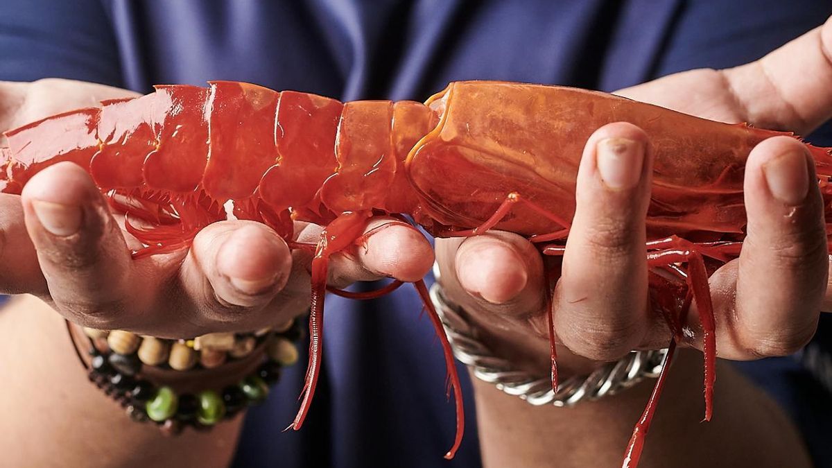 Juan Viu propone una experiencia singular en Cádiz