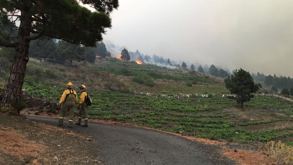 Incendio en El Paso en La Palma @AT_Brif