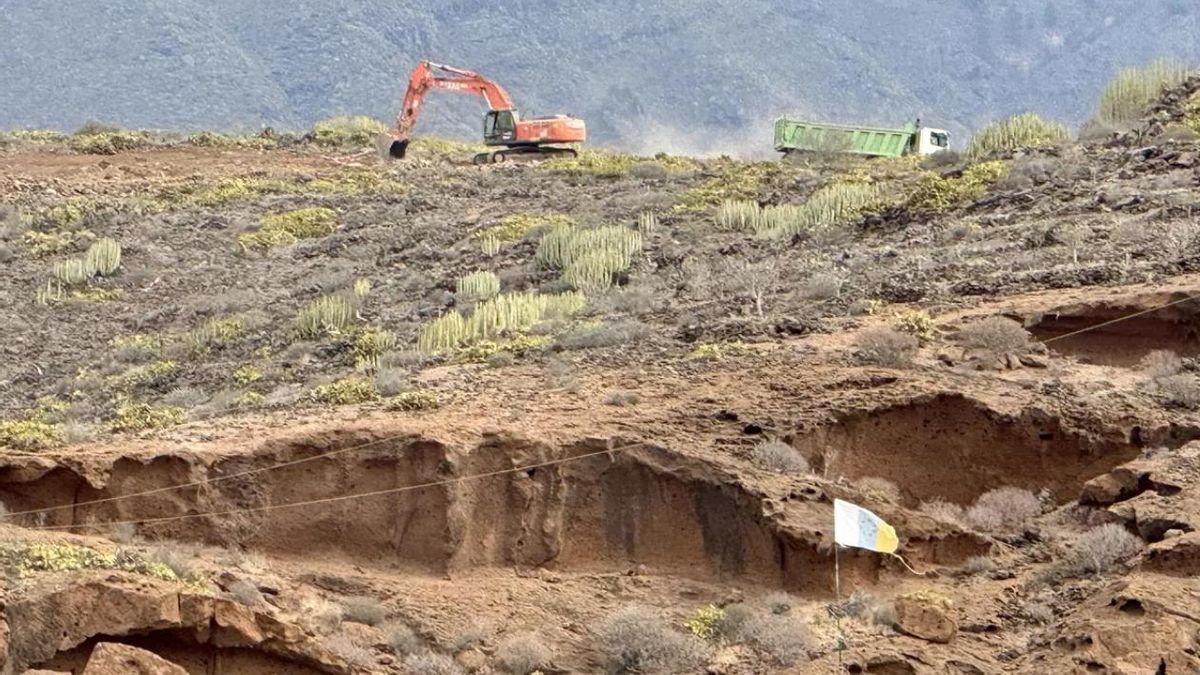 Una pala mecánica durante las obras de proyecto turístico Cuna del Alma, en el Puertito de Adeje (Tenerife).