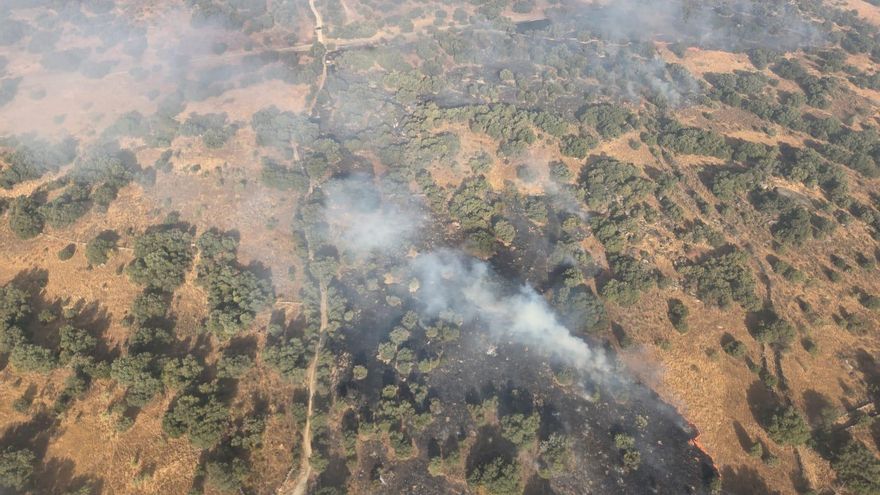 UGT y SIBF denuncian falta de medios y previsión en el incendio forestal de Almorox: "Madrid ha salvado la situación"