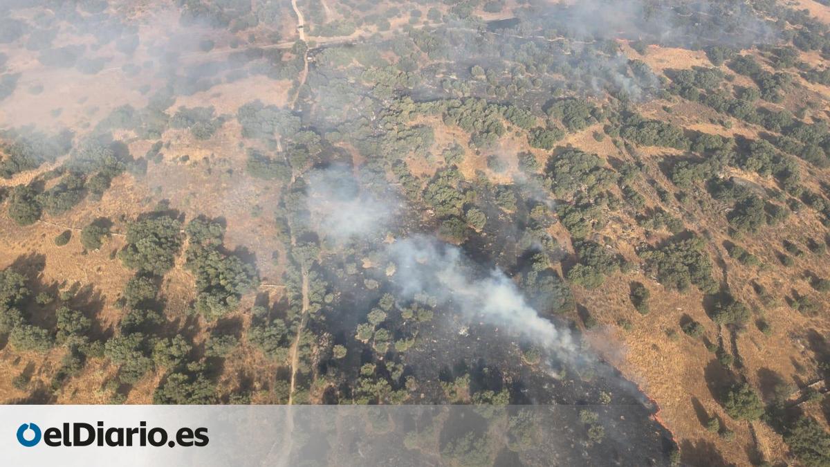 UGT Y SIBF Denuncian Falta De Medios Y Previsi n En El Incendio ugt-y-sibf-denuncian-falta-de-medios-y-previsi-n-en-el-incendio