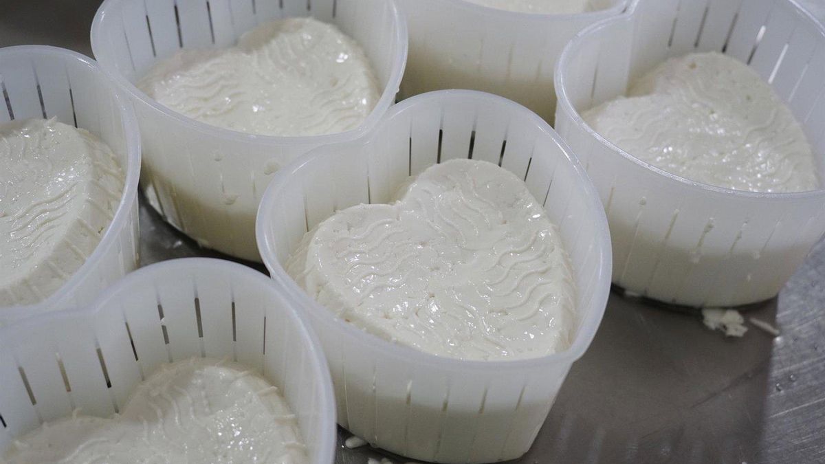 El Ifapa inicia en Hinojosa un curso de elaboración de productos lácteos frescos de alto valor añadido