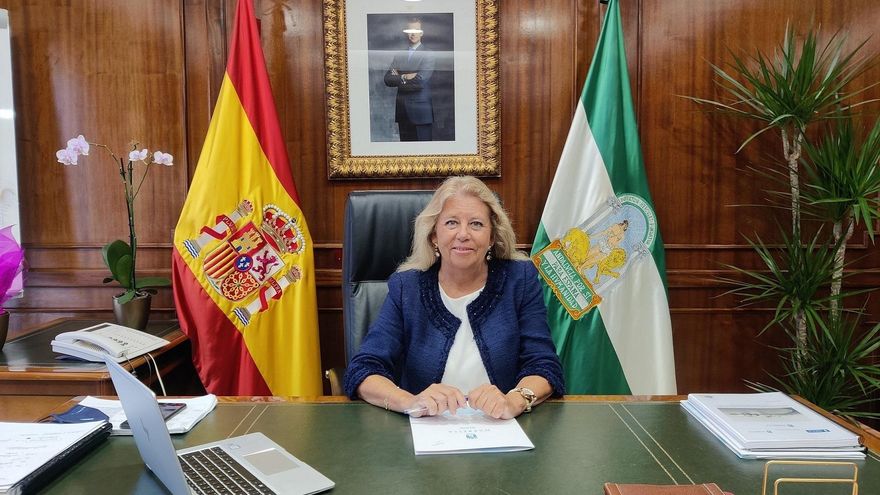 El Ayuntamiento de Marbella dice que encontrar sus contratos con la presunta tapadera de la trama es "complejo"