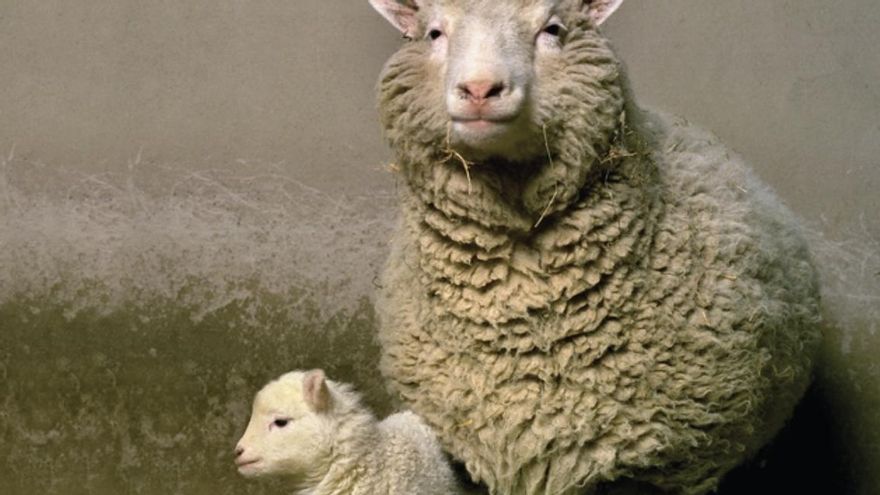 La clonación de Dolly generó una gran polémica.