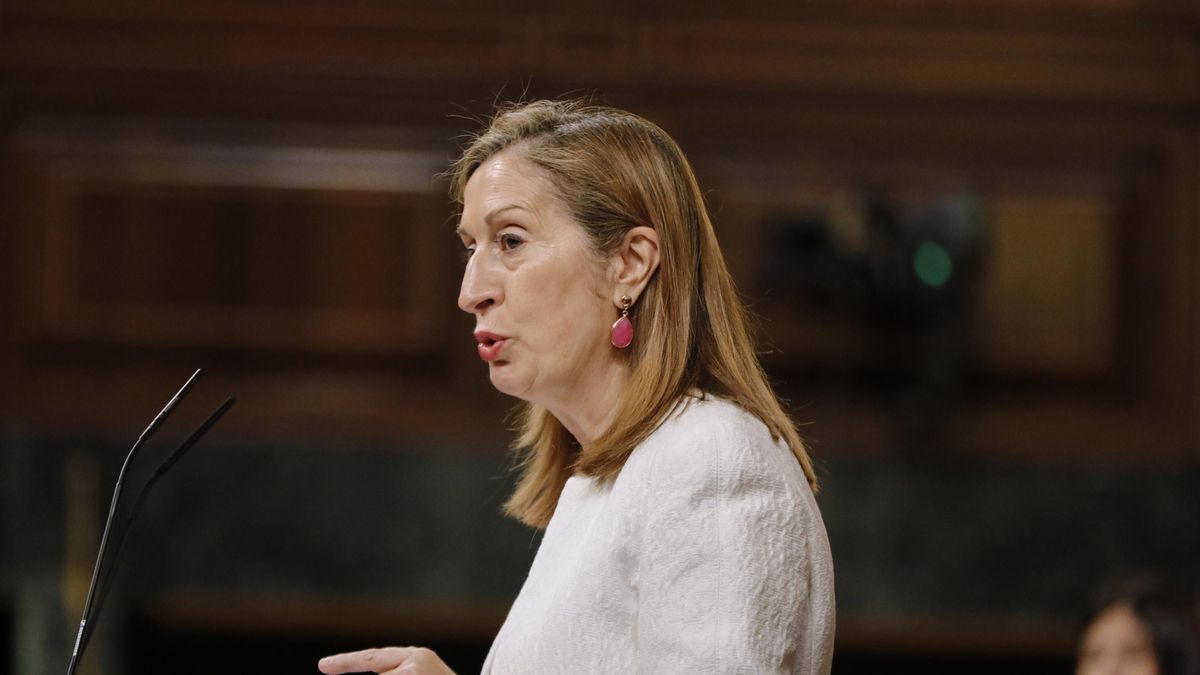 La vicepresidenta segunda del Congreso y diputada del PP, Ana Pastor, interviene durante una sesión plenaria en el Congreso de los Diputados, en Madrid (España), a 21 de julio de 2020. Durante el pleno, el Congreso debate y vota, para su aprobación defini
